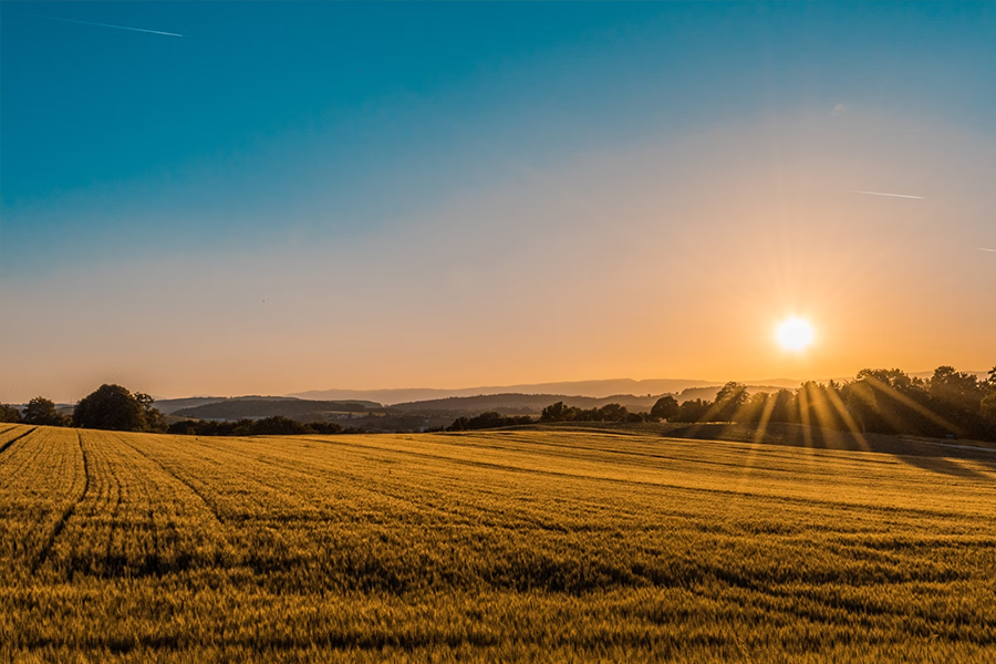Godrej Plots Nashik Godrej Plots Nashik