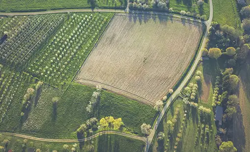 Godrej Country Estate Palghar Images